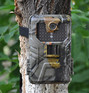 Фотоловушка Филин JET на дереве